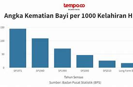 Berkah303 Bayi Baru Lahir Di Indonesia 2023