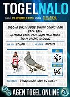 Tafsir Mimpi Burung Merpati Togel